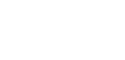 Vivo Team Development