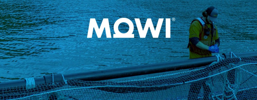 Mowi_Case_Study-1024x399